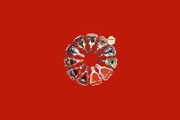 青神县回收红酒